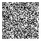 Aliquantum Consulting Inc QR Card