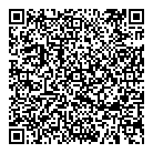 Stealth Projects QR Card