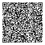 Super-Bee Striping  Acces QR Card