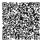 Api Alarm Inc QR Card