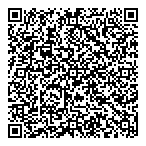 Ddsg Criminal Law QR Card