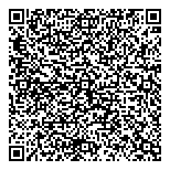 Information Systems Consulting QR Card