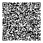 Big Pixel Inc QR Card