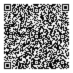 B  L Compressor Ltd QR Card