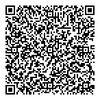 New Paradigm Engineering Ltd QR Card