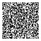 Laser  Style QR Card