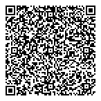 De Graves Pallard  Assoc LLP QR Card