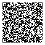 Lastiwka Louis Dds QR Card