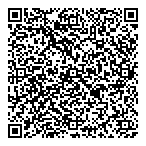 Blaze Plastics Inc QR Card