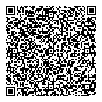 Phoenician Accounting QR Card