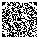 Domino's QR Card