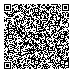 Professional Excel Solutions QR Card