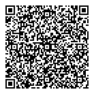 Mnp LLP QR Card