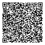 Nicolet Insurance Ltd QR Card