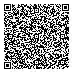 Paradigm Ndt Solutions QR Card