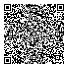 Dlm Consulting QR Card