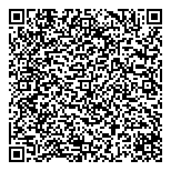 Professional Business Cnnctn QR Card