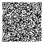 Driving Dealer Solutions QR Card