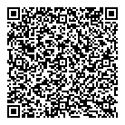 Dlm Inc QR Card