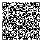 Option Cfo Inc QR Card