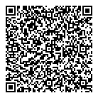 Nysa Coiffure QR Card