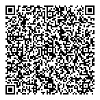 D L Instrumentation Inc QR Card