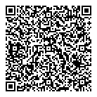 Bisson Michel QR Card