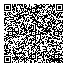 Brigil Platine QR Card