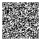 Dm Mecanique QR Card