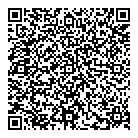 Mi  Skin QR Card