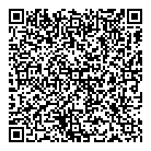 Forbizitsolutions QR Card