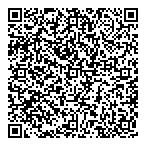 Dillon Consulting Ltd QR Card