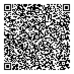 Dreamscape Consulting QR Card