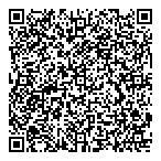 Dillon Consulting Ltd QR Card