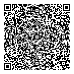 Vericipher Consulting QR Card