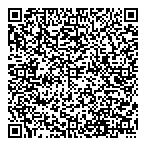 Dramis Network Cabling Ltd QR Card