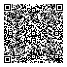 Bdg Consulting QR Card