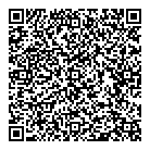 Hollis Ford Inc QR Card