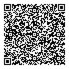 Datagraphic QR Card
