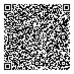 D  V Electronics Ltd QR Card