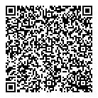 Mavis Car Wash QR Card