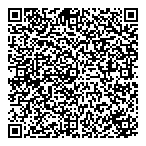 Skylinc Internet QR Card