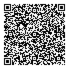 Dxstorm.com Inc QR Card