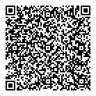 Mnp LLP QR Card