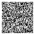 Skydome Emmission  Alignment QR Card
