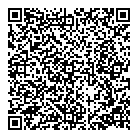 Zgemi Inc QR Card