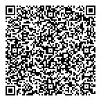 Borlase Systems Inc QR Card