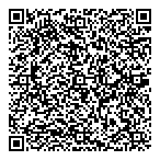 Dmr Cargo Intl Inc QR Card