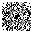 Vivid Concept QR Card