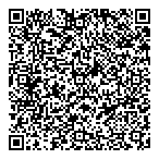 Danmark Holdings Inc QR Card